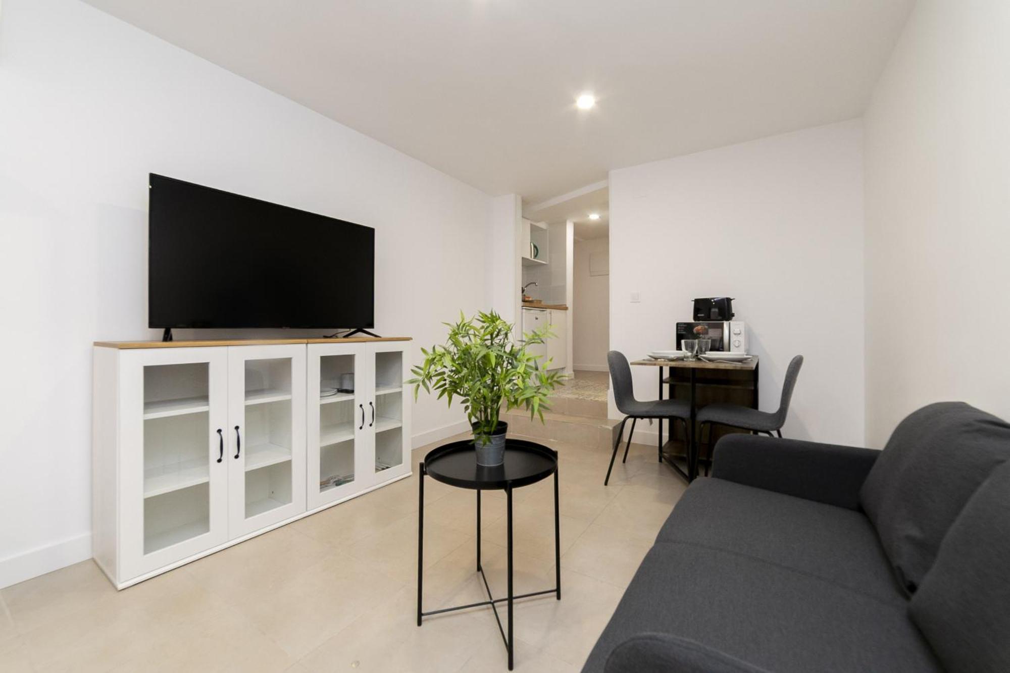Apartment Luxury Viii - Ferga
